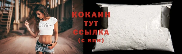 стаф Абинск