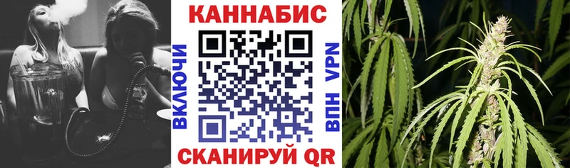 Бошки Шишки семена  Сургут 